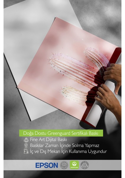 Çerçevesiz Poster, Pembe Çiçek Açan Bitki, Yatak Odası Dekoru Poster No: 109397 indirimleri