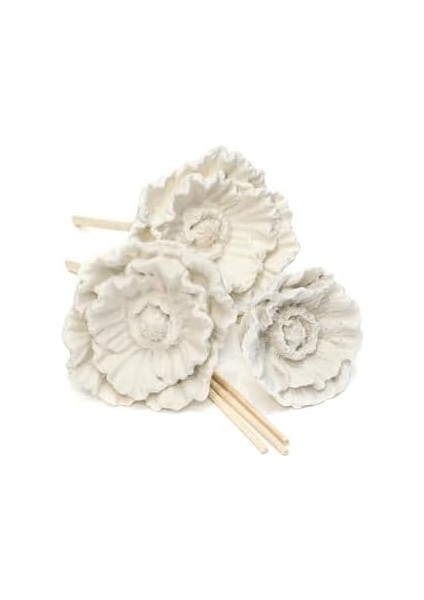 Seramik Çiçek Taşlı 10'lu Doğal Bambu Kamış Seti fiyatları