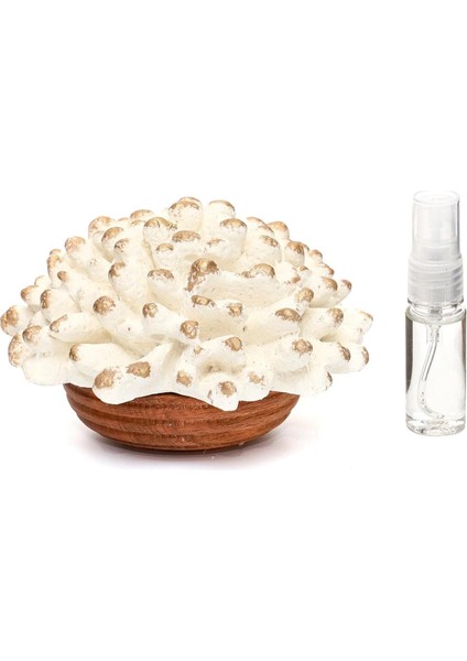 Detaylı Vanilya Sandal Kokulu Büyük Seramik Mercan Taş