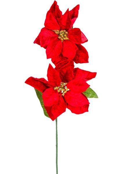 Yılbaşı Çiçeği Puansetya 2 Çiçekli Kırmızı 75 Cm.