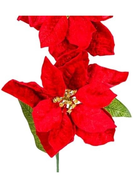 Yılbaşı Çiçeği Puansetya 2 Çiçekli Kırmızı 75 Cm. modelleri