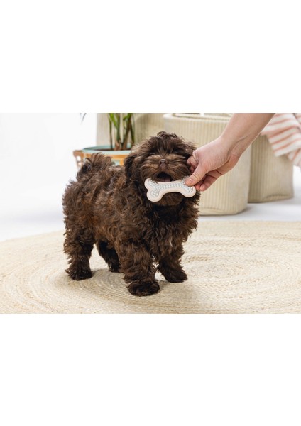 Yavru Köpek Diş Oyuncağı, Içi Dolu Halka, Kauçuk, Pembe, 10CM Lzwdr fiyatları