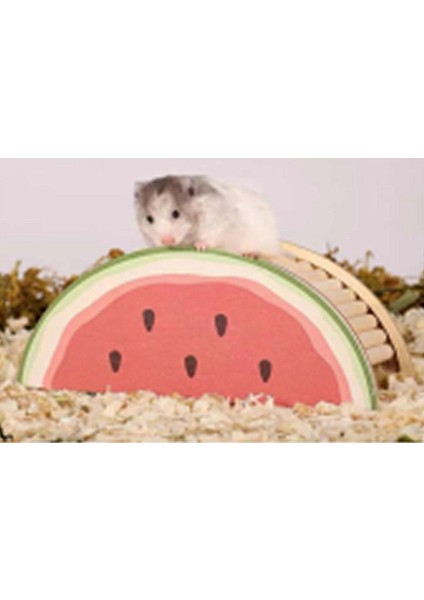 Ahşap Kemirgen Yuvası Karpuz Lzwdr