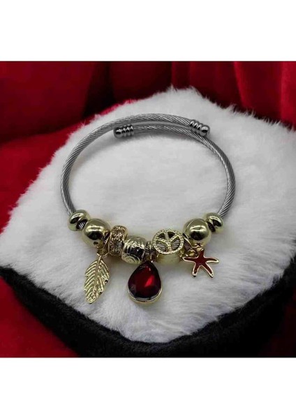 Zirkon Taşlı Kırmızı Damla Detaylı Pandora Çelik Bileklik