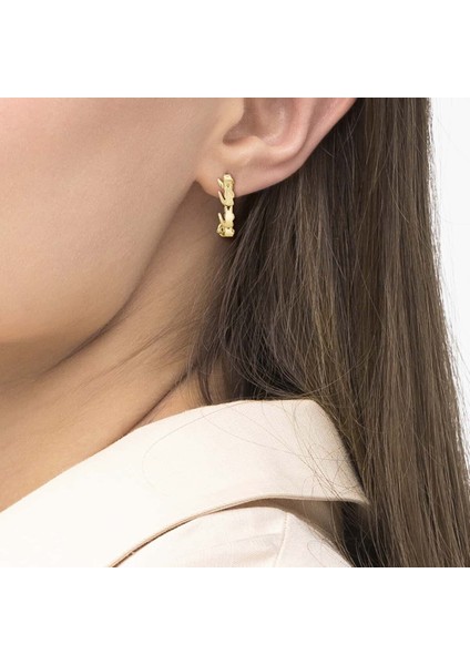 LACJ2040515 Kadın Küpe fırsatları