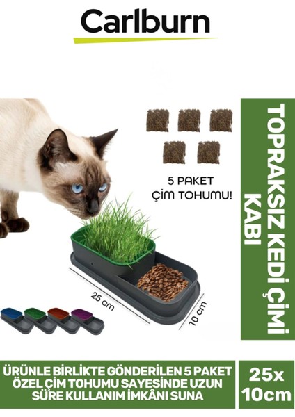 Özel Üretim 5 Adet Kedi Çimi Tohumu Topraksız Kedi Çimi Kabı 25X10CM