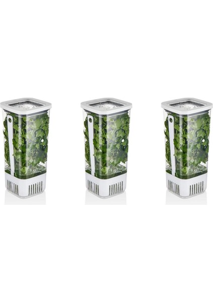 Beyaz Kare Yeşillik Saklama Kabı, 1700 Ml, 3'lü Set