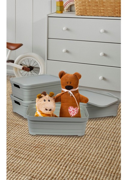 Renkli 4'lü Kutu Seti, Kapaklı Çok Amaçlı Ofis ve Ev Organizeri