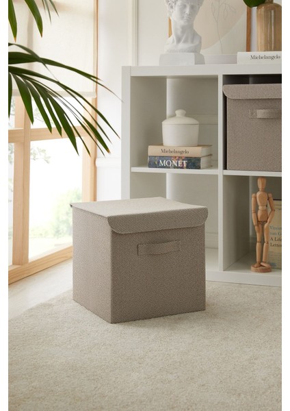 Bej Kapaklı Dolap Içi Saklama Kutusu 30X30X30
