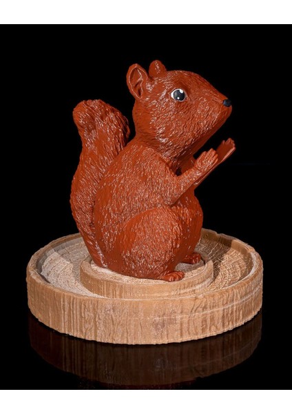 Büyük Boy Sincap Kahve Kapsül Tutucu 19 Cm, Kahverengi, Şık ve Kullanışlı Tasarım modelleri