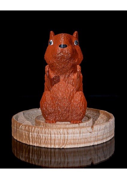 Büyük Boy Sincap Kahve Kapsül Tutucu 19 Cm, Kahverengi, Şık ve Kullanışlı Tasarım