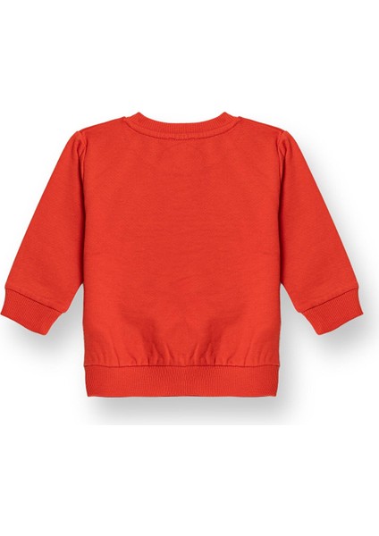 Basic Sweatshirt fiyatları