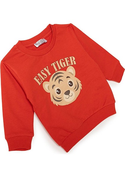 Basic Sweatshirt modelleri