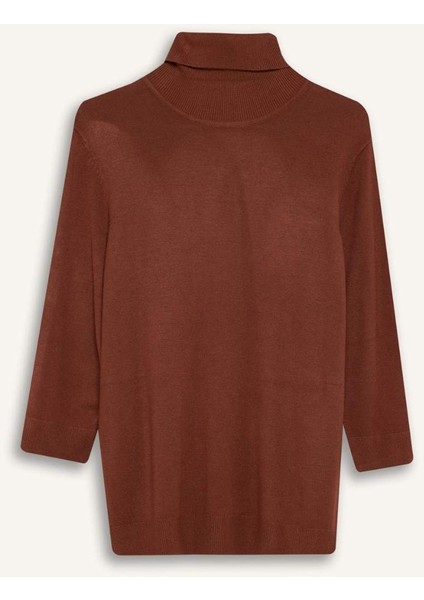 Regular Fit Balıkçı Yaka Yarım Kol Basic Düz Triko Kazak U8280AZ25AU