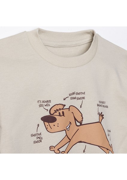 Basic Sweatshirt modelleri