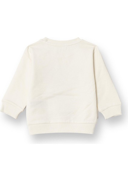 Basic Sweatshirt fiyatları