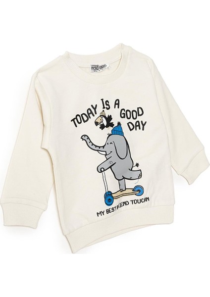 Basic Sweatshirt modelleri