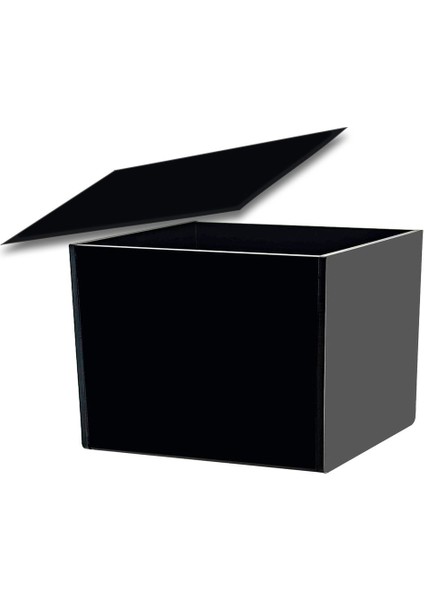 Şık Siyah Çok Amaçlı Saklama Kutusu 30X20X15 cm