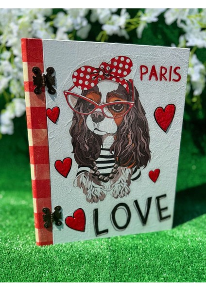 El Boyaması Renkli Ahşap Dekoratif Kitap Kutusu, Şık ve Özel Tasarım