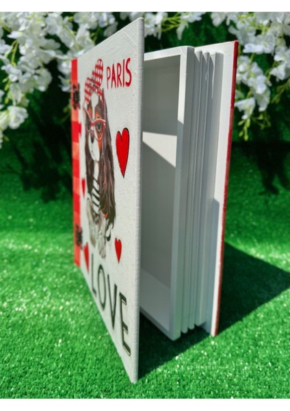 El Boyaması Renkli Ahşap Dekoratif Kitap Kutusu, Şık ve Özel Tasarım modelleri