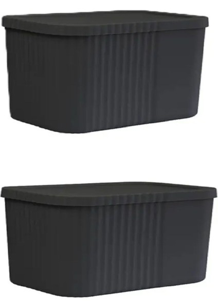 2'li 6 Litre Kapaklı Çok Amaçlı Saklama Kutusu, Siyah, Düzenleyici ve Kullanışlı