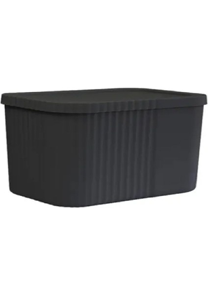 2'li 6 Litre Kapaklı Çok Amaçlı Saklama Kutusu, Siyah, Düzenleyici ve Kullanışlı modelleri