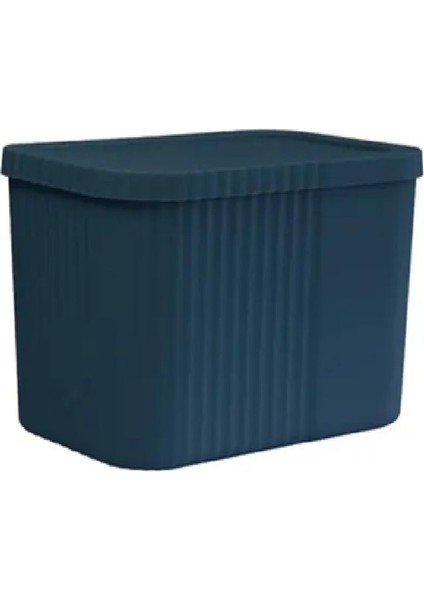 Iki Adet 6 Litre Çok Amaçlı Kapaklı Saklama Kutusu, Havlu ve Kişisel Eşyalar Için fırsatları