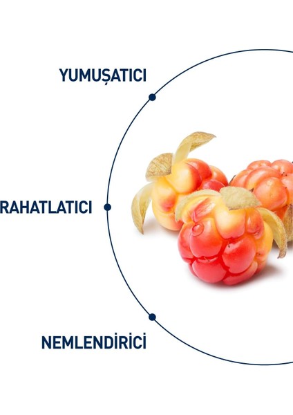 Celenes Cloudberry Köpüren Yüz Yıkama Jeli Kuru ve Hassas Ciltler (250 ml )