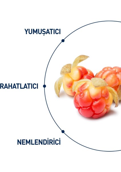 Celenes Cloudberry Yatıştırıcı Yüz Bakım Kremi Kuru ve Hassas Ciltler (50 ml )