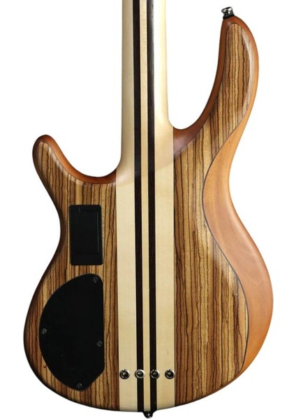 Bas Gitar , Çantalı, Open Pore Natürel, Manyetikle modelleri