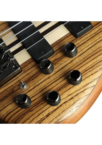Bas Gitar , Çantalı, Open Pore Natürel, Manyetikle fırsatları