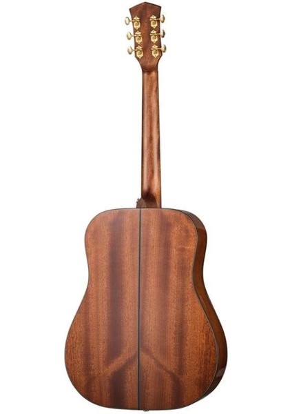 Cort Çin Akustik Gitar Çantalı modelleri