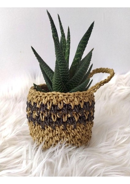 Kahverengi Çok Amaçlı Kağıt Ip Sepet 10 cm Kaktüs ve Çiçek Saksılığı