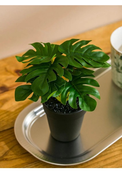 Lcw Home Dekoratif Yapay Çiçek 17 cm (W5) fiyatları