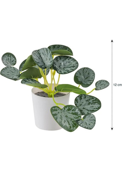 Lcw Home Dekoratif Yapay Çiçek 12 cm (W5) fırsatları