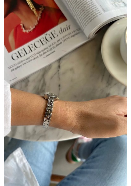 Çelik Minimal Kadın Kol Saati fiyatları