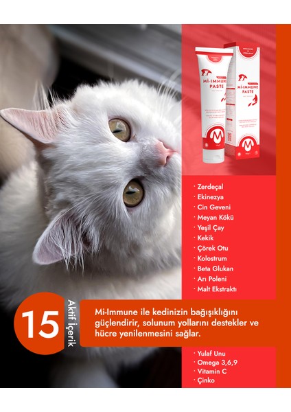 Mi-Immune Paste Immun Sistem Kedi Malt Macunu 100 gr fiyatları