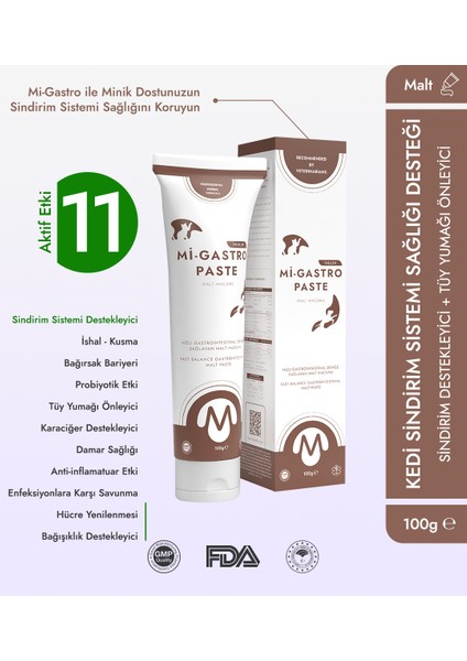 Mi-Gastro Paste Mide Malt Macunu 100 gr