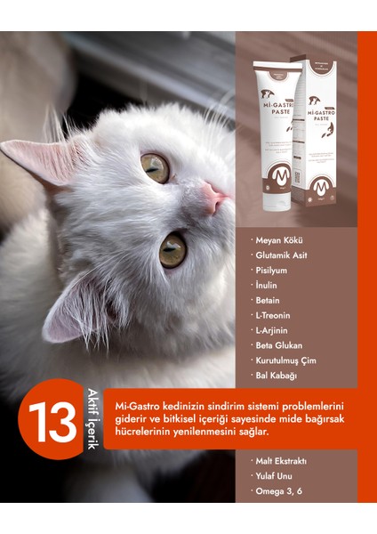 Mi-Gastro Paste Mide Malt Macunu 100 gr fiyatları