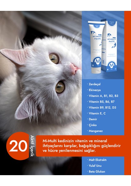 Kedi Multivitamin Malt Macunu 100 GR Mi-Multi Paste fiyatları