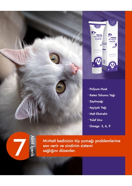 Kedi Tüy Yumağı Önleyici Malt Macunu 100 GR ”Mi-Malt Paste” fiyatları