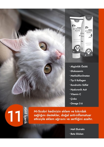 Mi-Scobri Paste Kemik Kırkırdak Sağlığı Kedi Malt Macunu 100 gr fiyatları