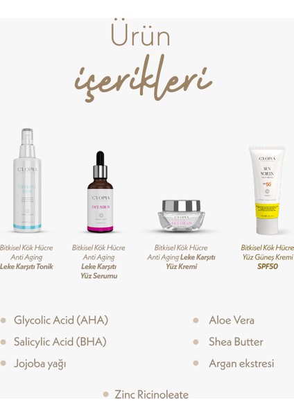 4’lü Koruma & Canlanma Seti | Anti-Aging Leke Karşıtı Bitkisel Kök Hücre Bakımı Niasinamide, AHA/BHA fiyatları