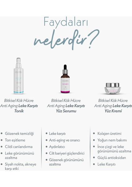 Leke Karşıtı ve Antiaging Bitkisel Kök Hücre Cilt Bakım Seti Hyaluronik Asit, Kolajen, Niacinamide modelleri