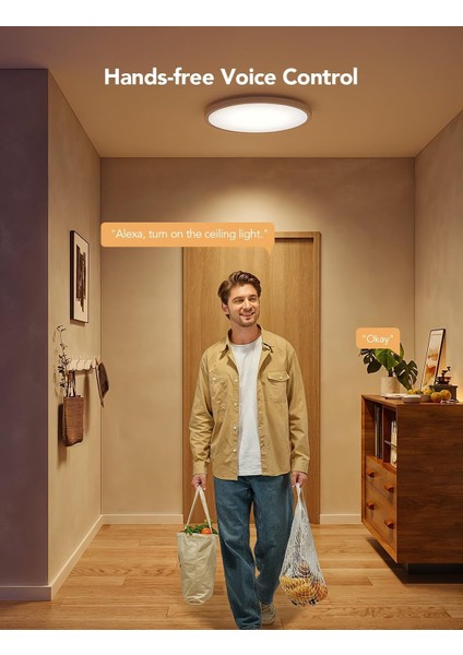 Akıllı Rgbıc LED Tavan Lambası 30CM - 2400LM, Alexa & Google Asistan Uyumlu, Rgbww Renkli Aydınlatma, 16M Renk, Ayarlanabilir Işık, Uygulama Kontrollü