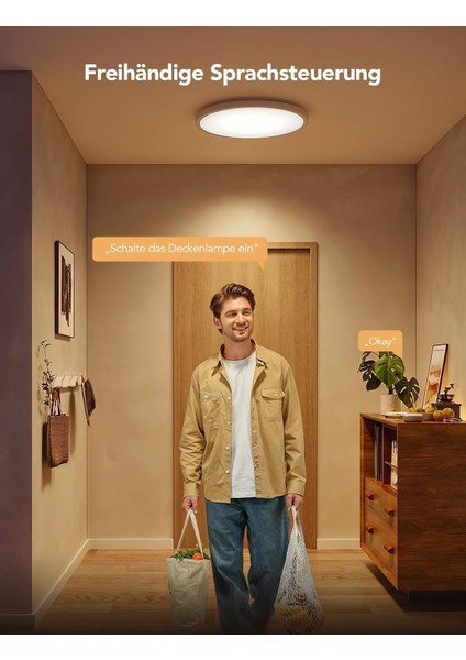 Akıllı Rgbıc LED Tavan Lambası 30CM - 2400LM, Alexa & Google Asistan Uyumlu, Rgbww Renkli Aydınlatma, 16M Renk, Ayarlanabilir Işık, Uygulama Kontrollü
