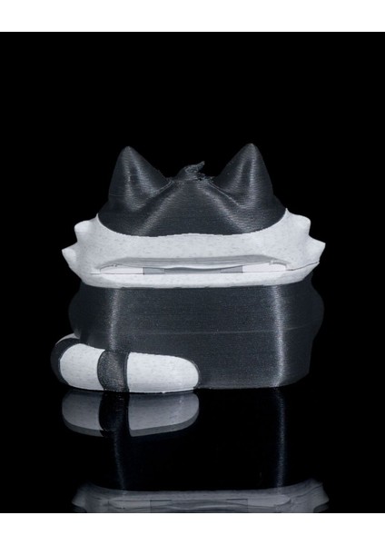 Çok Renkli Kedi Kulaklık Saklama Kutusu, Mesajla Nesil Bilgisi Eklenebilir