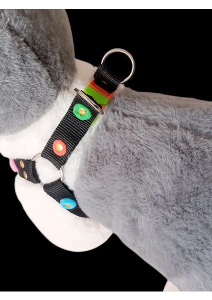 Köpek Göğüs Tasması Minik Irk Ponponlu Zımbalı Göğüs Ölçüsü:25-40cm Ayarlamalı Dog Harness Gt3-43