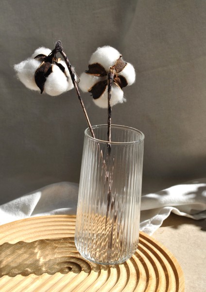 1 Adet Cam Mini Vazo 14 cm Dekoratif Vazo-Hawaii 14X6 cm fiyatları