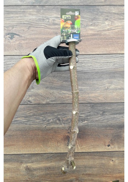 Venty 37 cm Doğal Papağan Tüneği | Dal Tünek | Sultan, Monk, Lori, Konur, Senegal, Yavru Jako, Yavru Amazon, Yavru Alex. - T407 fiyatları